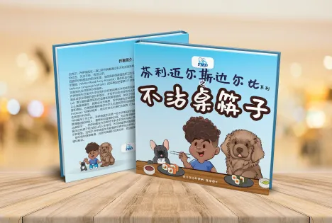 Touchless Chopsticks Chinese edition cover