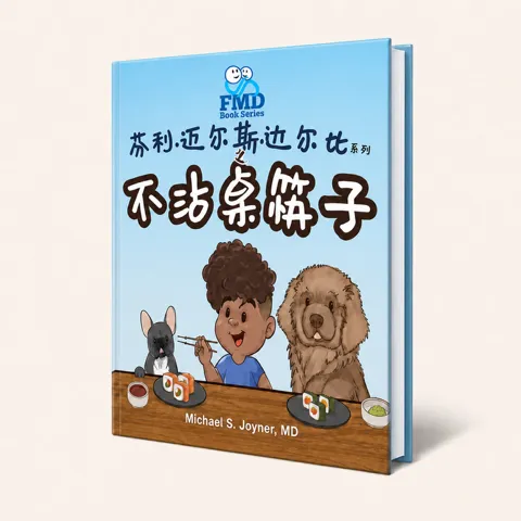 Touchless Chopsticks Chinese Edition cover